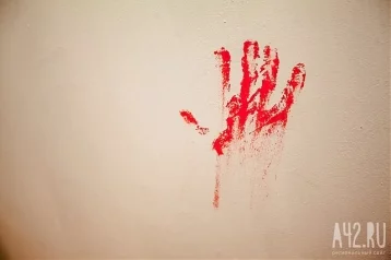 Фото: В Бразилии насильник пытался ворваться в дом к женщине, но врезался в стекло и истёк кровью 1