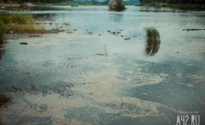 В Кузбассе незаконно сбрасываемые канализационные отходы загрязнили водохранилище