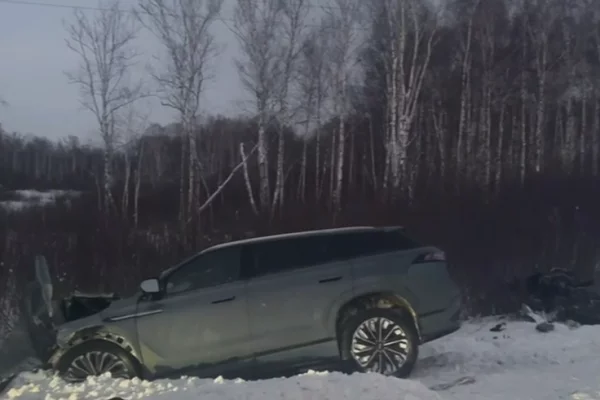 В ДТП в Новосибирской области погибли 2 человека