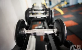 Учёные назвали способ улучшить память всего за 40 минут