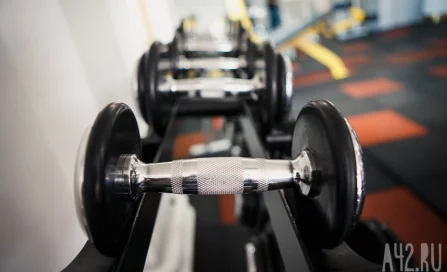 Учёные назвали способ улучшить память всего за 40 минут