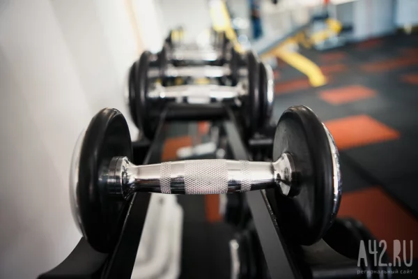 Учёные назвали способ улучшить память всего за 40 минут