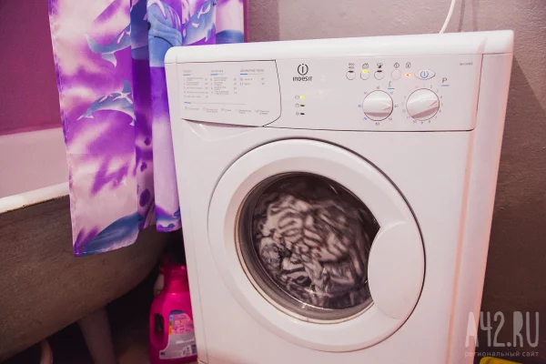 Очевидцы: в Новокузнецке треш-стримеры разгромили съёмную квартиру и сняли это на видео