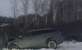 В ДТП в Новосибирской области погибли 2 человека