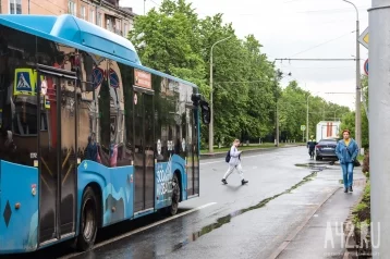 Фото: Илья Середюк: в Кузбассе 9 мая проезд в общественном транспорте будет бесплатным 1