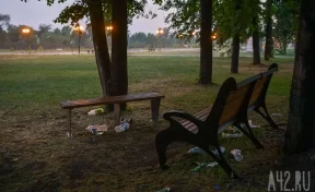 Власти прокомментировали плачевное состояние городского парка в Кузбассе