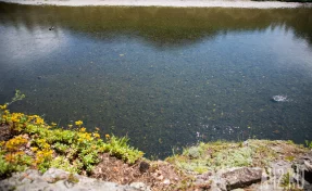 В Кузбассе ресурсоснабжающая компания причинила ущерб природе на 5 000 000 рублей