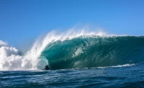 Океанологи зафиксировали самую высокую волну в Южном полушарии