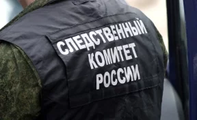 В Нальчике пьяный мужчина до смерти забил 87-летнюю женщину на улице
