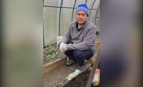 Кузбассовцы умилились видео с работающим в теплице губернатором Середюком