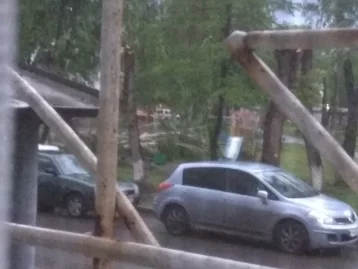 Фото: Кемеровчане делятся в соцсетях фотографиями последствий штормового ветра 4