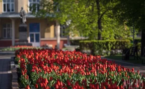 Дожди, грозы и +27: синоптики рассказали о погоде на неделе в Кузбассе