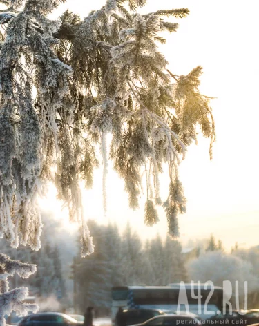 Синоптики дали прогноз погоды на первые дни января в Кузбассе