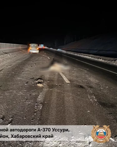 В Хабаровском крае амурский тигр погиб в ДТП с четырьмя автомобилями