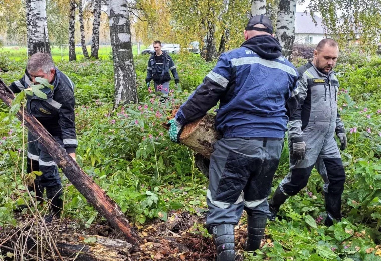 Фото: Волонтёры «СУЭК-Кузбасс» развивают общественные пространства в Прокопьевском муниципальном округе 5