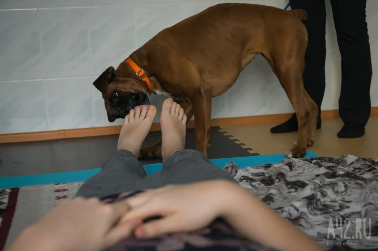 Фото: Доктор пёс. Как волонтёры с собаками учат детей с инвалидностью ходить и говорить 2