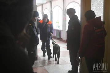 Фото: Росгвардия даст оценку действиям сотрудников ЧОП, охранявших ТЦ в Кемерове 1