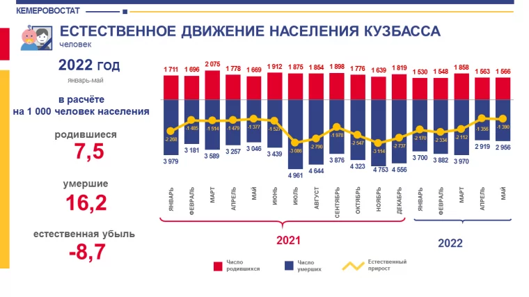 Инфографика: Кемеровостат