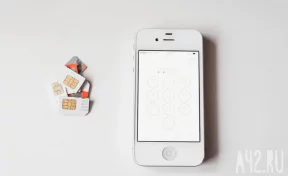 В Москве мошеннический колл-центр обслуживали два уроженца Саратовской области