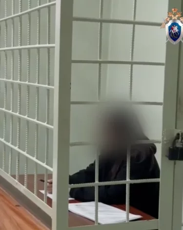 Фото, видео: <a href=https://t.me/sledcom_press/27051>Следком</a>/Telegram