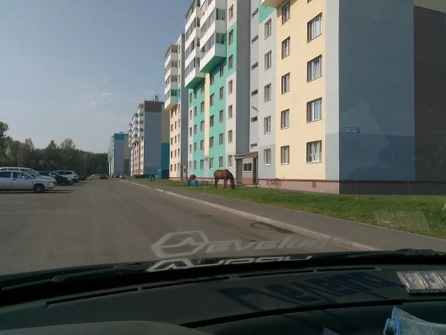 Фото: «Мы живём в г. Кемерово. А вы?» / «Одноклассники»