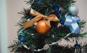Новогоднее мошенничество: жительница Кузбасса лишилась всех денег в попытке купить ёлку
