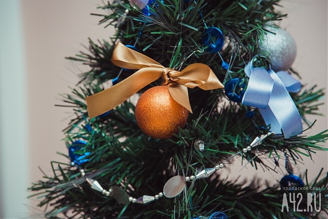 Новогоднее мошенничество: жительница Кузбасса лишилась всех денег в попытке купить ёлку
