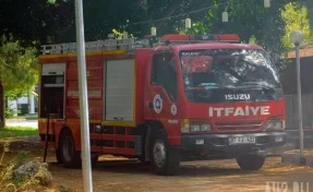 Мать и пять детей сгорели заживо в ДТП в Турции