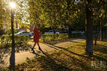 Фото: Вильфанд прогнозирует температуру выше среднемноголетних значений в трёх округах 1