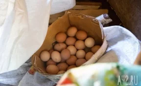 В России отменили пошлины на ввоз куриных яиц