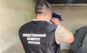 В Саратове обнаружены тела девочек 3 и 7 лет