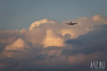 Фото: Вылет рейса Turkish Airlines в Стамбул был задержан в Санкт-Петербурге 1