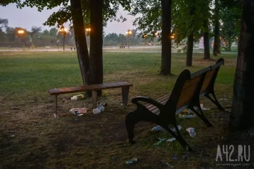 Фото: Власти прокомментировали плачевное состояние городского парка в Кузбассе 1