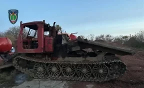 В Кузбассе «чёрный лесоруб» заплатит 1 млн рублей за вырубку 15 деревьев