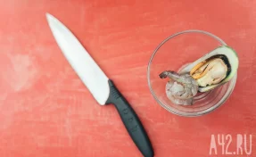 Кемеровчанка нанесла 34 удара ножом двоюродной сестре