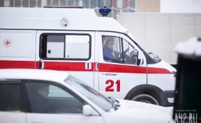 В Кузбассе два маленьких ребёнка пострадали в ДТП