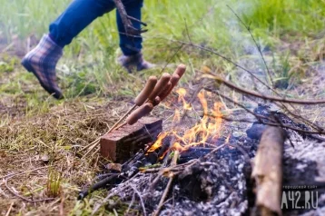 Фото: В Кемерове запретят разводить костры и сжигать траву 1