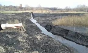 В Новокузнецке начали очищать реку Аба