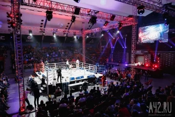 Фото: Чемпионский шаг: первый бой Миши Алояна на профессиональном ринге 12