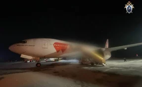 Летевший на Шри-Ланку самолёт вернулся в аэропорт Новосибирска из-за неполадки