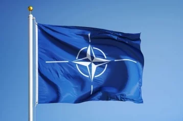 Фото: В НАТО объяснили, почему Украина потеряла Крым  1