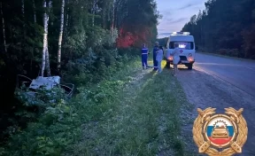 В Башкирии в ДТП с лосем погибли ребёнок и взрослый