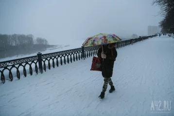 Фото: В России в 2024 году естественная убыль населения выросла на 20,4% 1