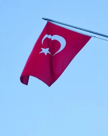 Найдены тела всех погибших военных при крушении турецкого самолёта в Грузии