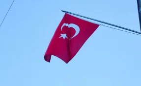 Найдены тела всех погибших военных при крушении турецкого самолёта в Грузии