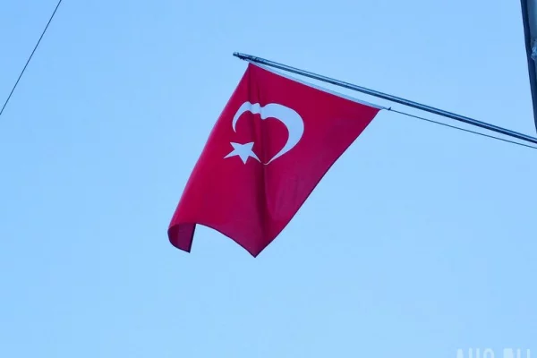 Найдены тела всех погибших военных при крушении турецкого самолёта в Грузии