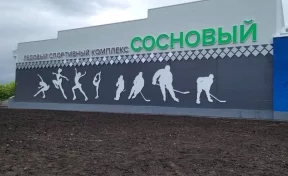 На фасаде строящегося ледового комплекса на Радуге в Кемерове появилось название