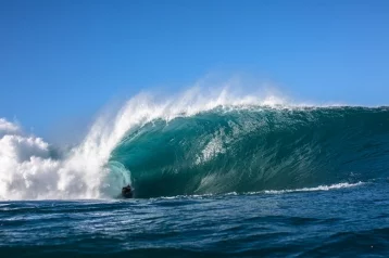 Фото: Океанологи зафиксировали самую высокую волну в Южном полушарии 1