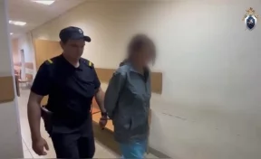 Мать, которая отгрызла пуповину и бросила младенца во Всеволожске, арестовали