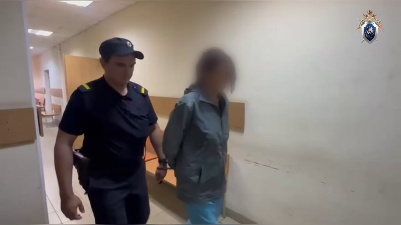 Мать, которая отгрызла пуповину и бросила младенца во Всеволожске, арестовали